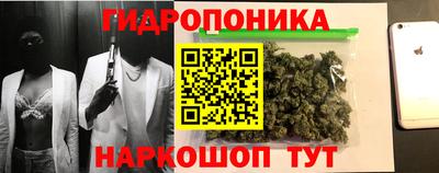 spice Краснознаменск